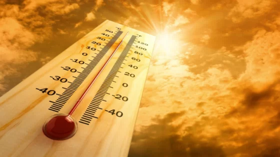 Canicule au Maroc dès le Lundi 16 juin : les bons gestes pour se protéger et prévenir les risques