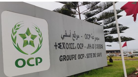Restauration des pâturages au Brésil : l’OCP et Ambipar unissent leurs forces pour un avenir agricole durable