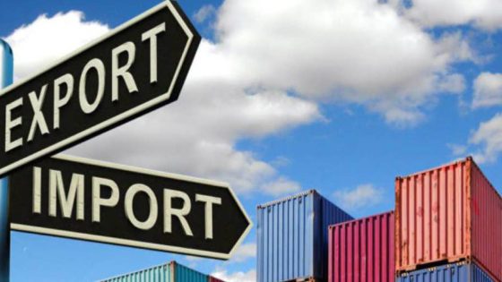 Le Maroc enregistre un excédent commercial de 7,2 MMDH avec l’Afrique en 2024