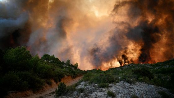 Incendies meurtriers dans le sud de la France : un mort et plusieurs blessés