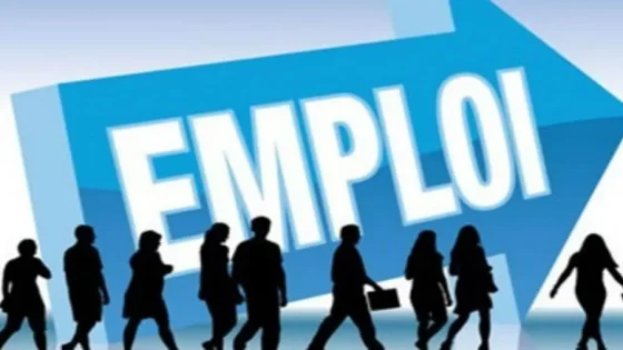 Marché du travail T2-2025 : Forte concentration des actifs dans cinq régions clés
