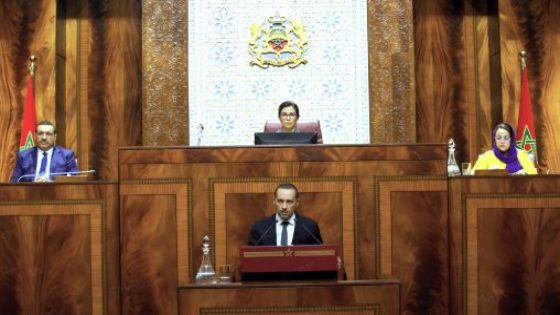 Santé: M. Tahraoui présente à la Chambre des représentants le bilan du Programme de réduction des disparités spatiales et sociales en milieu rural