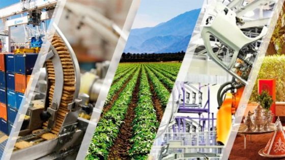 Industrie marocaine : entre éclat des chiffres et fragilité des fondations