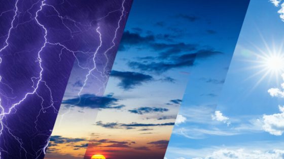 Vendredi sous le signe du froid : des rafales soutenues attendues sur plusieurs régions