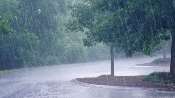 Météo de ce mercredi 10 décembre 2025