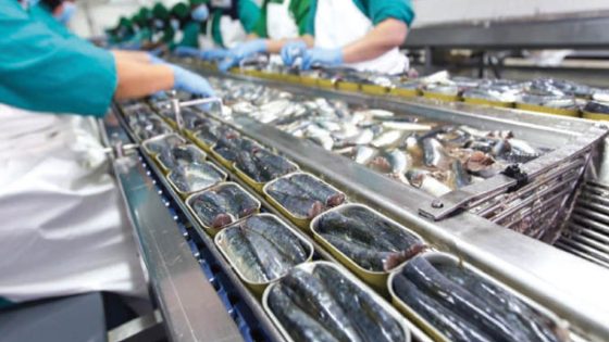 Maroc : suspension de l’exportation des sardines en conserve pour freiner la hausse des prix