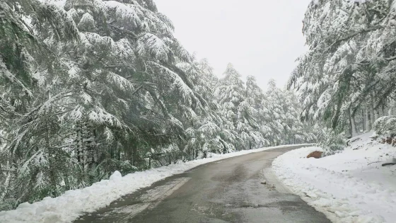 Un hiver généreux : les pluies et la neige redonnent souffle aux ressources hydriques du Maroc