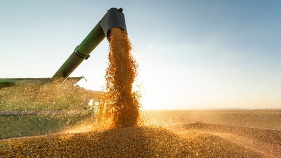 Importations de blé : la France reprend la tête du marché marocain