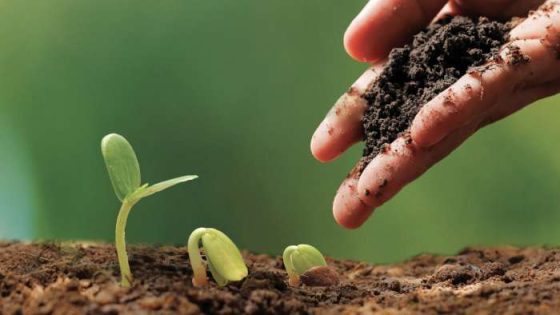 Maroc–OISA : un “Plan Marshall” pour consolider la souveraineté alimentaire