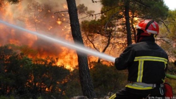 Feux de forêts : 150 millions de dirhams mobilisés pour prévenir les risques durant l’été 2026