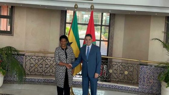 Sahara marocain : le Gabon réaffirme son soutien et salue la résolution 2797 de l’ONU