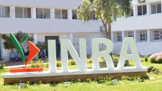 Recherche agricole : l’INRA et l’ICARDA renforcent leur alliance pour l’avenir de l’agriculture marocaine