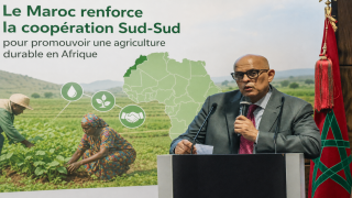 Le Maroc renforce la coopération Sud-Sud pour promouvoir une agriculture durable en Afrique