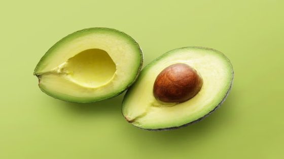 Avocat : Malgré les pertes liées à la chaleur, la filière marocaine reste confiante pour la campagne 2026-2027