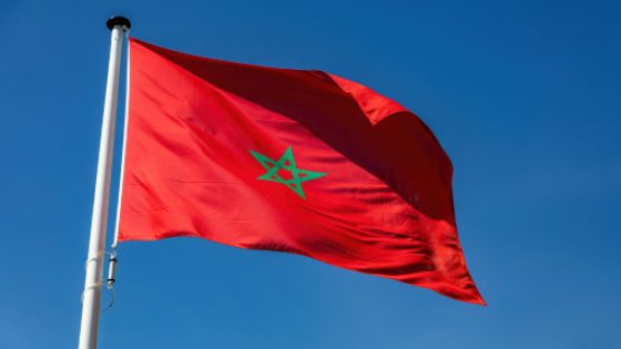 Mineurs marocains non accompagnés : Rabat réaffirme son engagement en faveur de leur retour