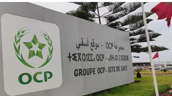 OCP et CHS prévoient jusqu’à 450 millions de dollars pour une nouvelle usine d’engrais aux États-Unis