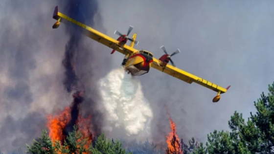 Feux de forêt : les FAR au cœur du dispositif aérien de lutte contre les incendies