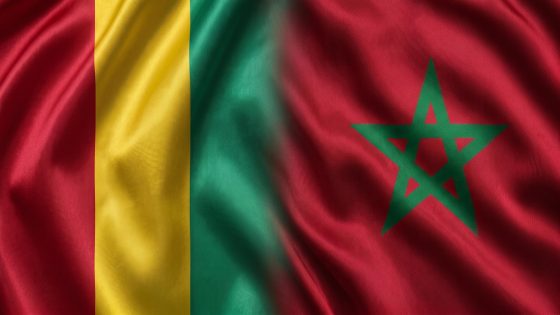 Sahara : la Guinée réaffirme son soutien à la marocanité et à l’initiative d’autonomie