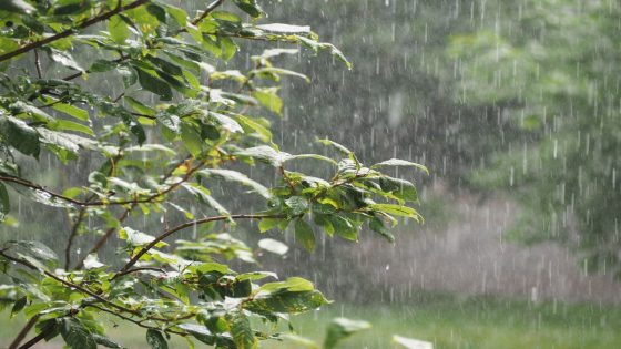 Météo : pluies et averses attendues dans plusieurs régions du Maroc ce lundi