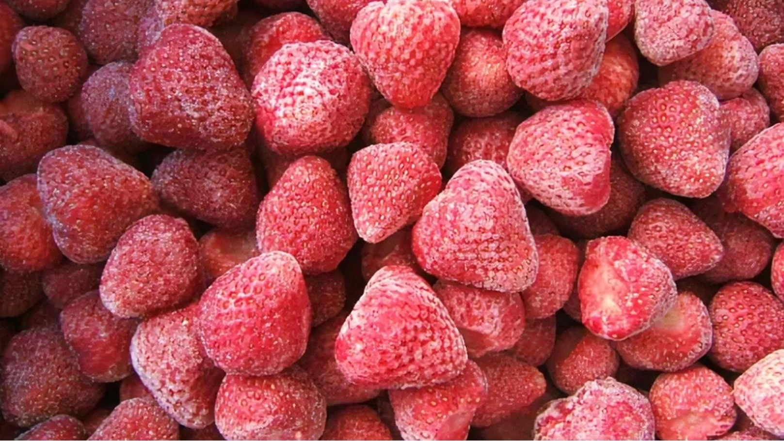 في ظل الأزمة المائية: المغرب يحقق زيادة في صادرات الفراولة المجمدة إلى اليابان