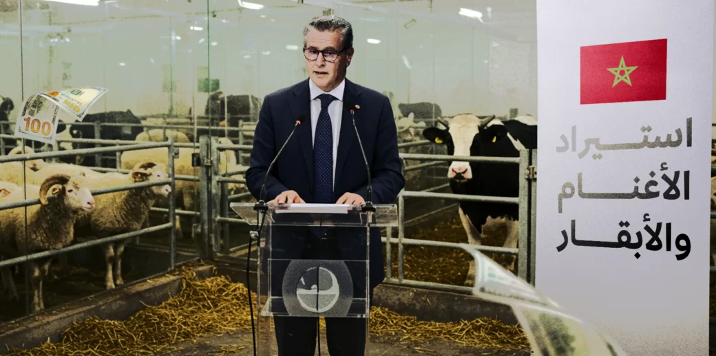 خلافات “الفراقشية” تعمق انقسام البرلمان: صراع بين “تقصي الحقائق” و”مهمة استطلاعية”