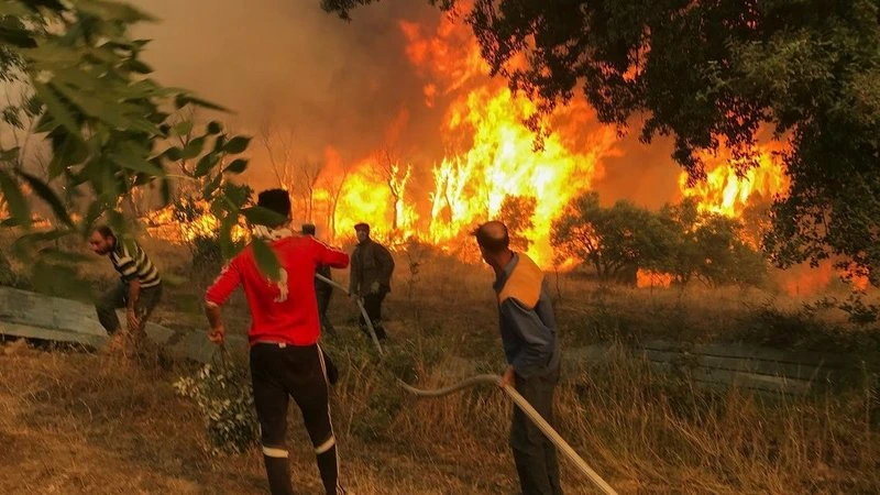 حرائق الغابات تلتهم تركيا وفرنسا وسط موجة حر قياسية تهدد حياة الملايين