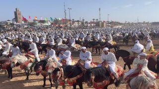 الجديدة.. إسدال الستار على فعاليات موسم مولاي عبد الله أمغار