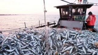 مندوبية الصيد تكثف المراقبة لمكافحة الصيد غير القانوني وتعرض الكميات المحجوزة بالمزاد العلني