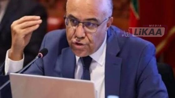 جدل حول التحاق الميراوي بالتدريس بجامعة فرنسية