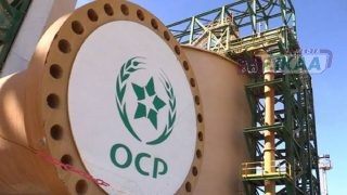 المكتب الشريف للفوسفاط يسجل 52 مليار درهم مبيعات وهوامش ربح بـ36% في النصف الأول من 2025