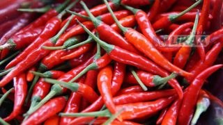 فضيحة في إيطاليا.. سحب فلفل مغربي ملوث بالمبيدات