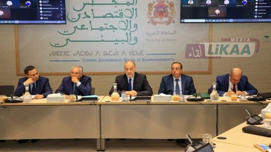 المجلس الاقتصادي والاجتماعي يصدر رأيه حول قانون إعادة تنظيم المجلس الوطني للصحافة