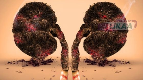 الحد من مخاطر التبغ في قلب الدبلوماسية الصحية العالمية: دروس من إفريقيا للعالم