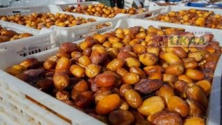 أرفود تحتفي بالتمر المغربي.. افتتاح المعرض الدولي وسط موسم إنتاج قياسي يفوق 160 ألف طن
