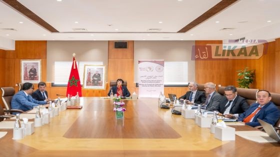 إفريقيا على طريق تطوير الرقابة المالية: خطة عمل مشتركة للأفروساي والمفوضية