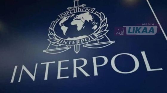 الأنتربول من مراكش يدعو إلى تعبئة دولية ضد الجريمة السيبرانية