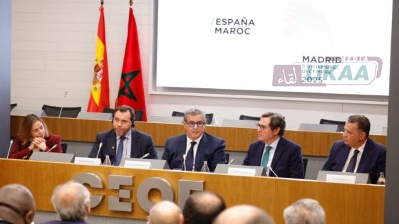 أخنوش يستعرض بمدريد رؤية طموحة للربط بين إفريقيا وأوروبا عبر بوابة المغرب وإسبانيا