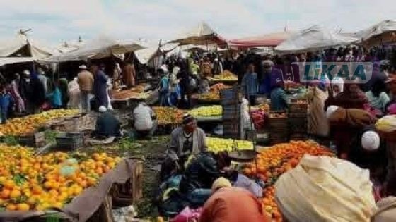 ارتفاع أسعار الخضر بالزمامرة يثير استياء الساكنة تزامناً مع التساقطات المطرية التي تعرفها المنطقة