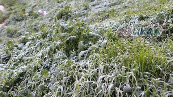 توقعات درجات الحرارة ليوم الثلاثاء: مدن تسجل أقل من درجتين