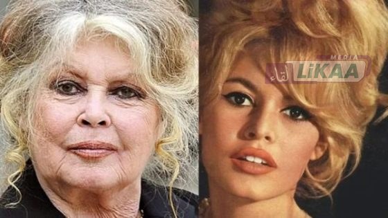 وفاة أيقونة السينما الفرنسية بريجيت باردو عن 91 عامًا بعد مسيرة فنية وناشطة في حقوق الحيوان