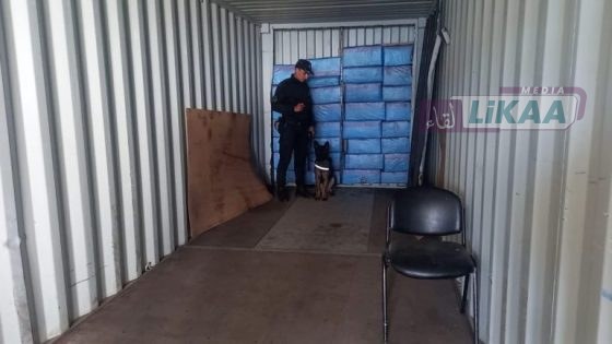 ميناء الدار البيضاء: إحباط تهريب 818 كلغ من مخدر الشيرا داخل حاوية بضائع