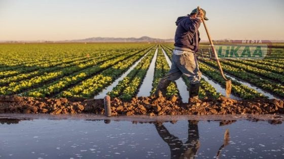 تساقطات مطرية متواصلة تنعش الموسم الفلاحي وتثير نقاشاً علمياً حول التحولات المناخية