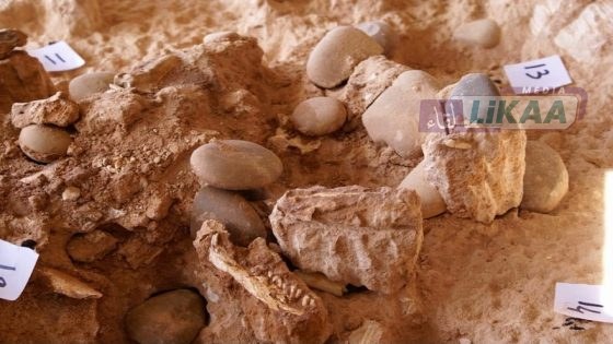 الاكتشافات الأثرية للإنسان العاقل بالمغرب تبرز الحاجة لتحديث المناهج التعليمية