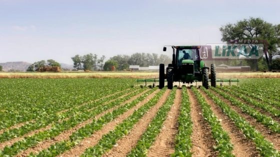 التساقطات المطرية تنعش الفلاحة بإقليم الحوز وتبشر بموسم واعد بعد سنوات من الجفاف