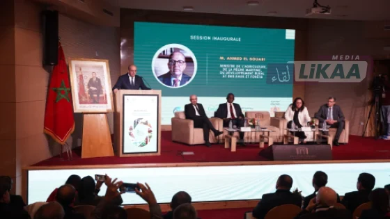 البواري يدعو إلى مقاربة شمولية لربط الموارد بالاستثمار وإحداث فرص شغل مستدامة في الفلاحة