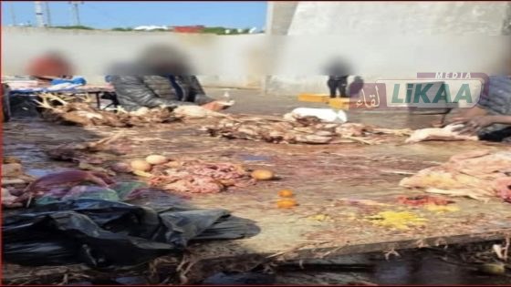 فضيحة في بطوار الحي المحمدي.. ذبح الدجاج وسط الأوساخ يهدد حياة المواطنين