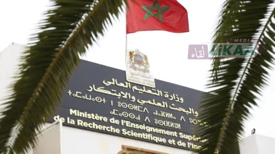 إضراب وطني للأساتذة الباحثين احتجاجاً على مشروع قانون التعليم العالي