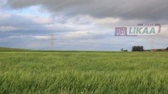 طقس يوم الثلاثاء متقلب بالمغرب.. أمطار رعدية وثلوج مرتقبة وانخفاض في درجات الحرارة