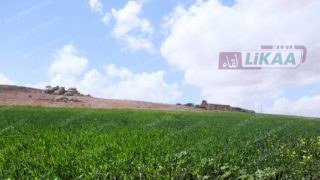 طقس الخميس.. أجواء باردة نسبياً وتساقطات ثلجية مرتقبة بمرتفعات الأطلس