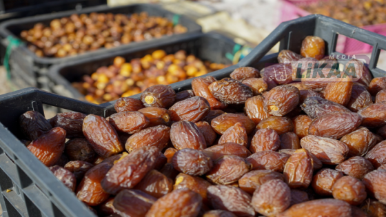 تعاونيات التمور بدرعة-تافيلالت رافعة للتنمية وخلق فرص الشغل